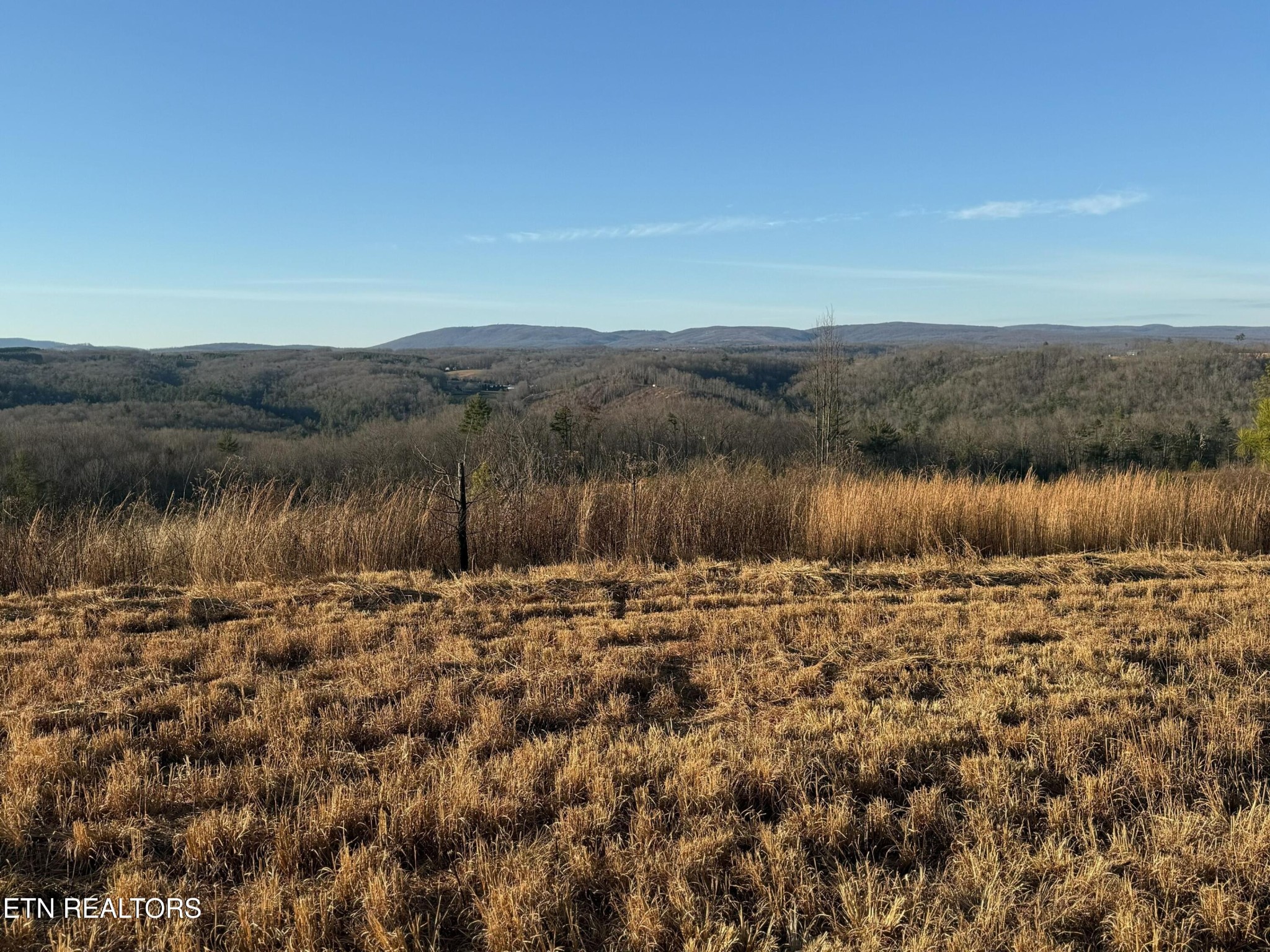 0 Possum Trot Road - Tract 1 Grandview TN 37337