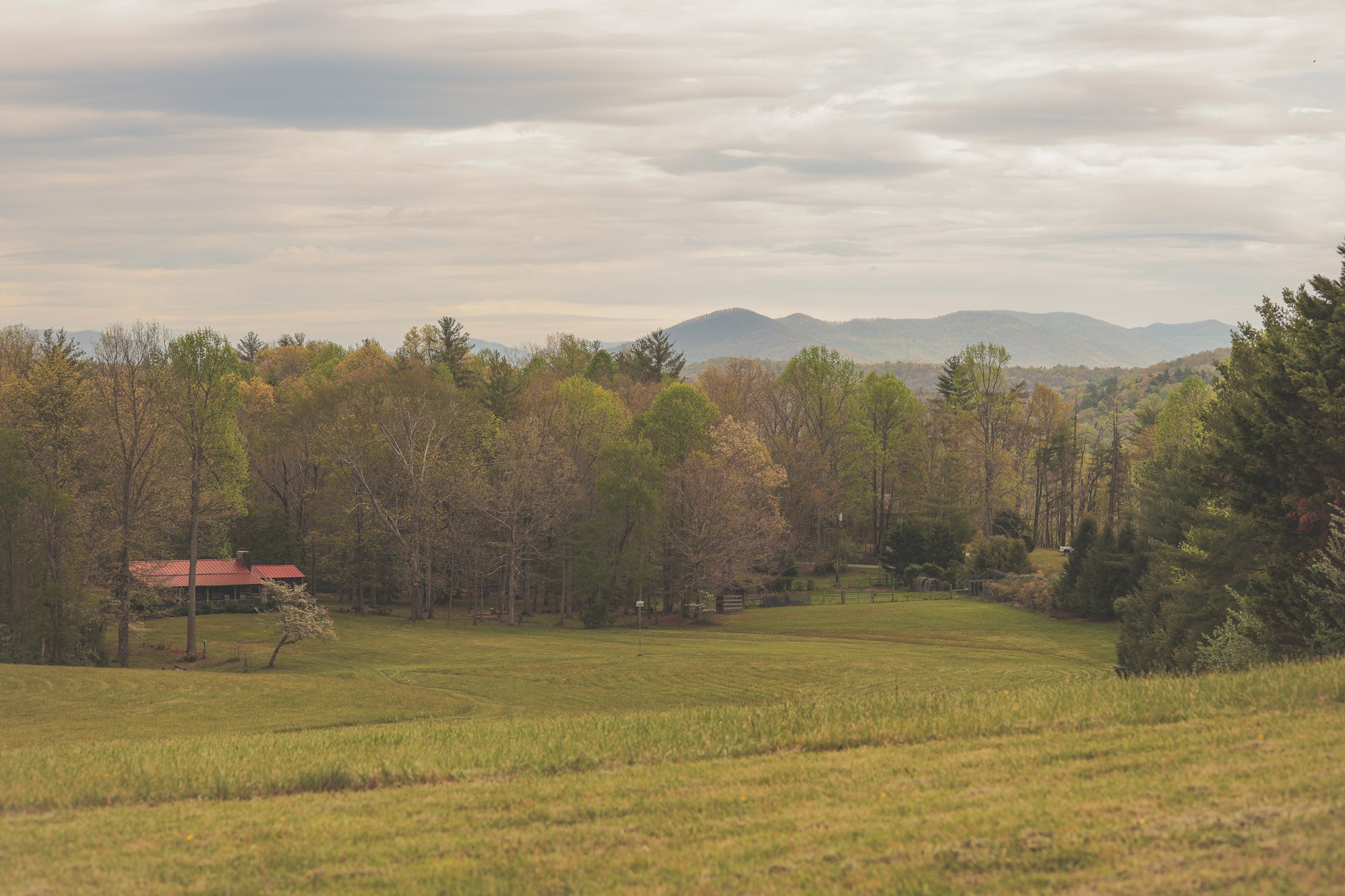 1854 Catoosa Road Wartburg TN 37887