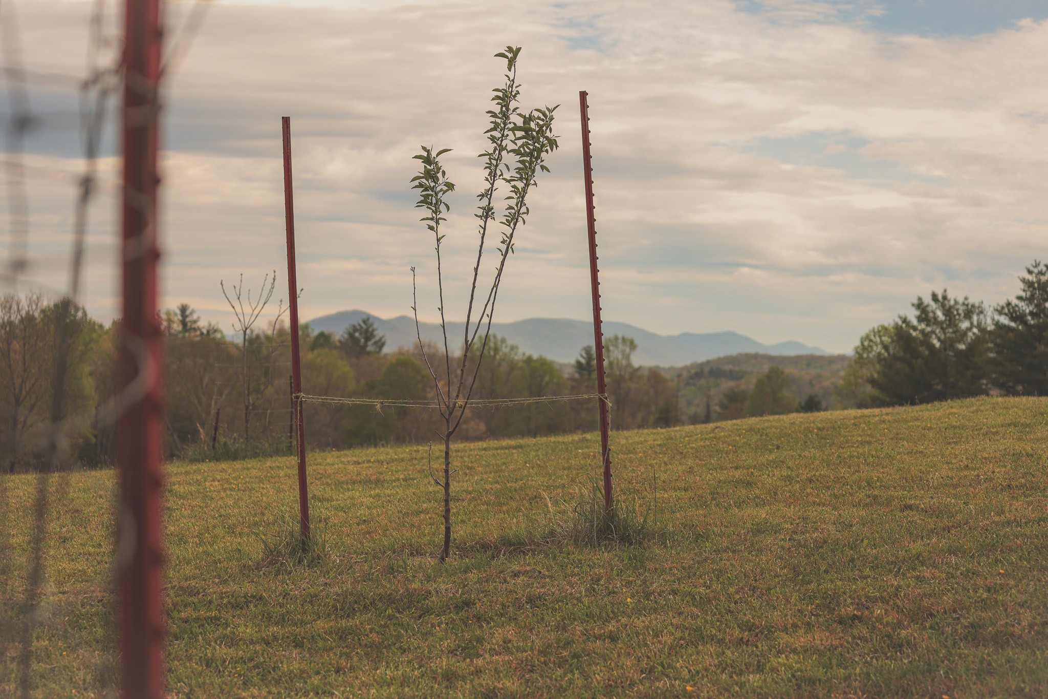1854 Catoosa Road Wartburg TN 37887