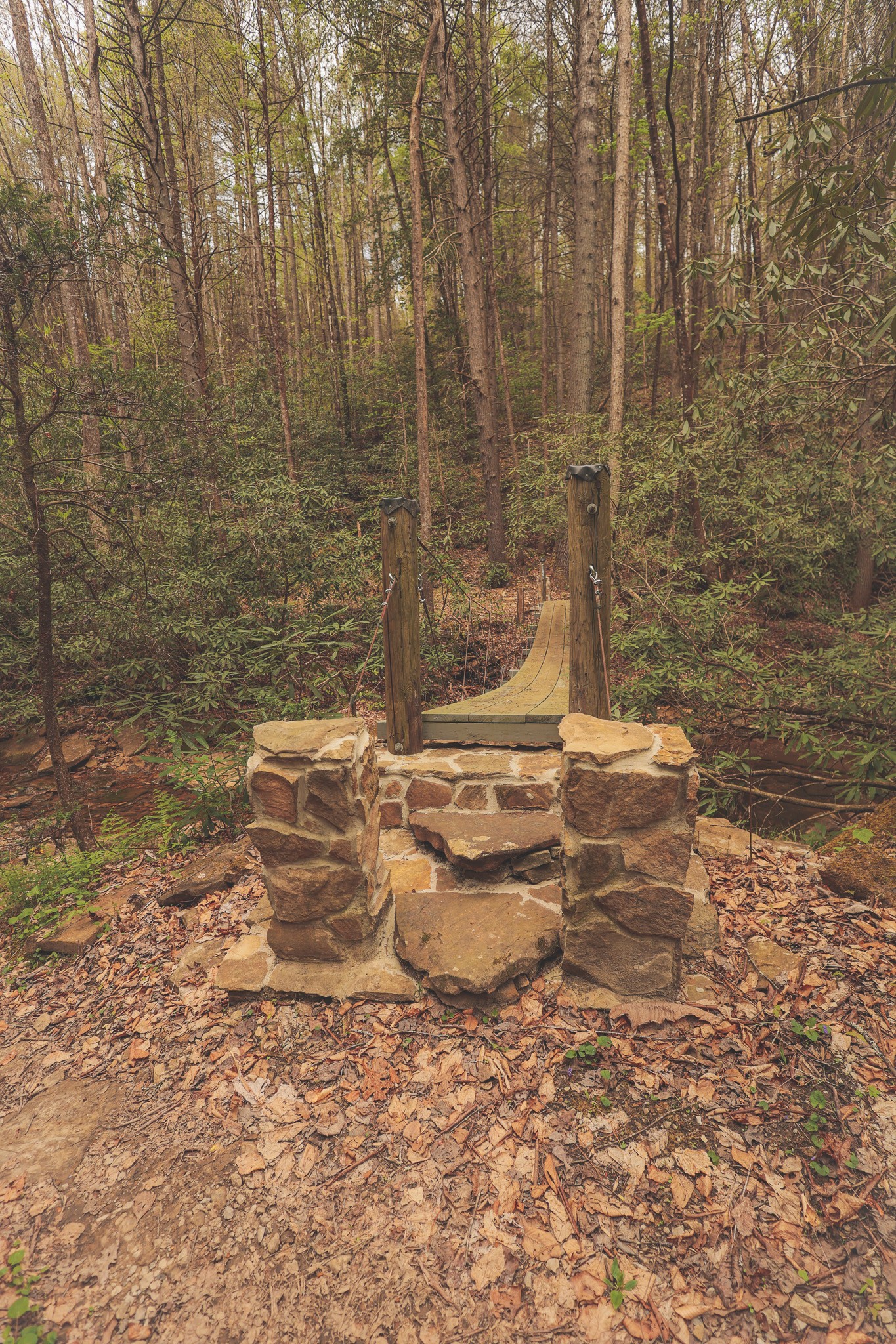 1854 Catoosa Road Wartburg TN 37887