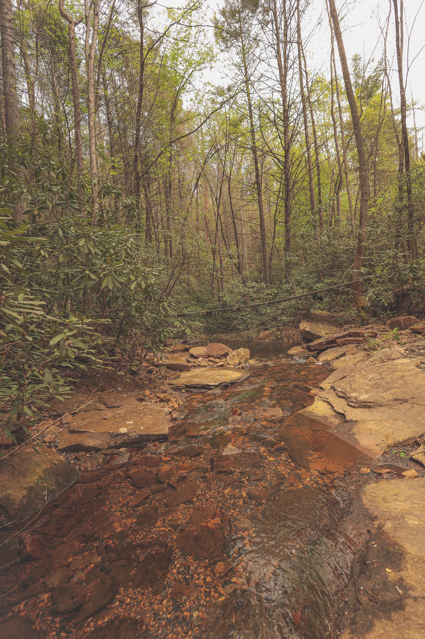 1854 Catoosa Road Wartburg TN 37887