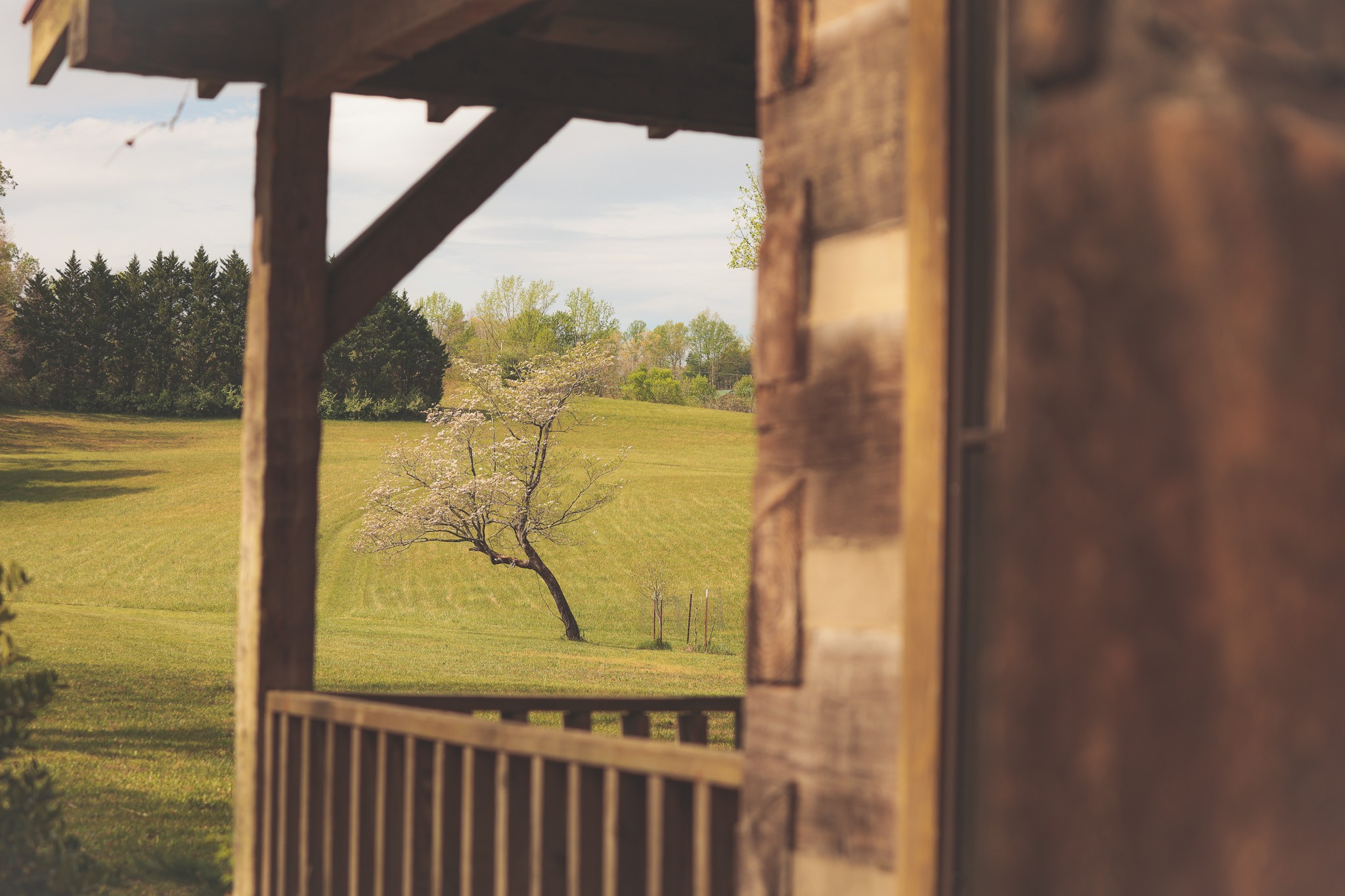 1854 Catoosa Road Wartburg TN 37887