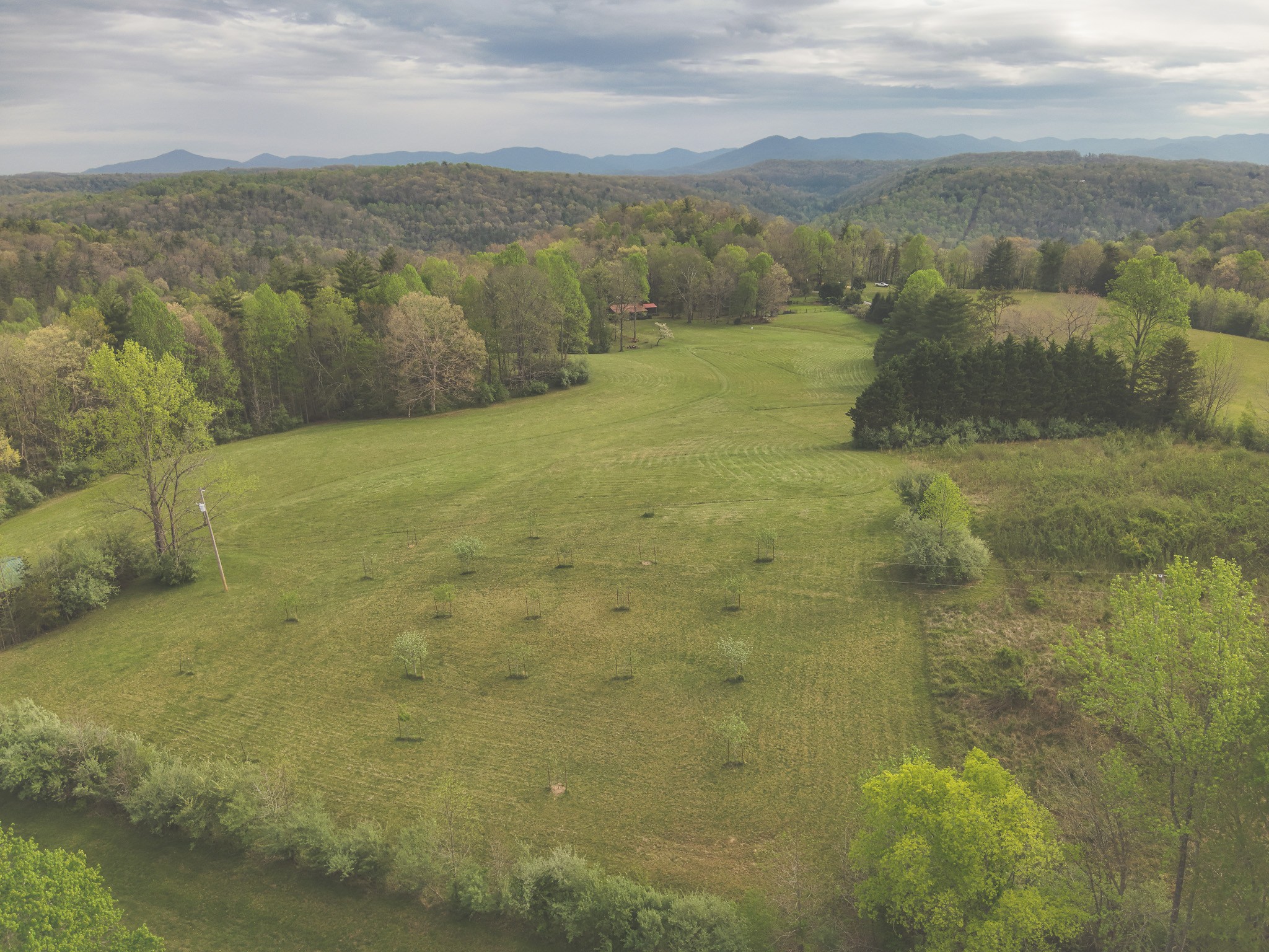 1854 Catoosa Road Wartburg TN 37887