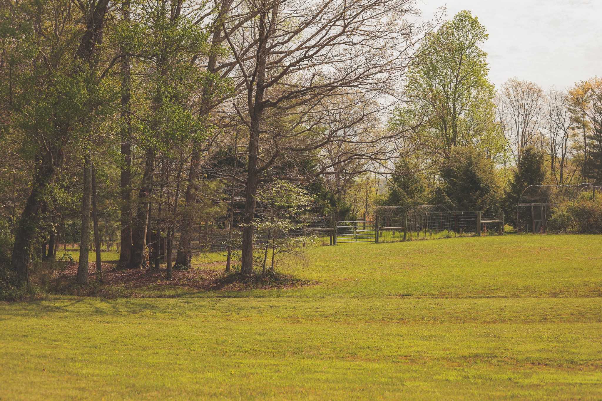 1854 Catoosa Road Wartburg TN 37887