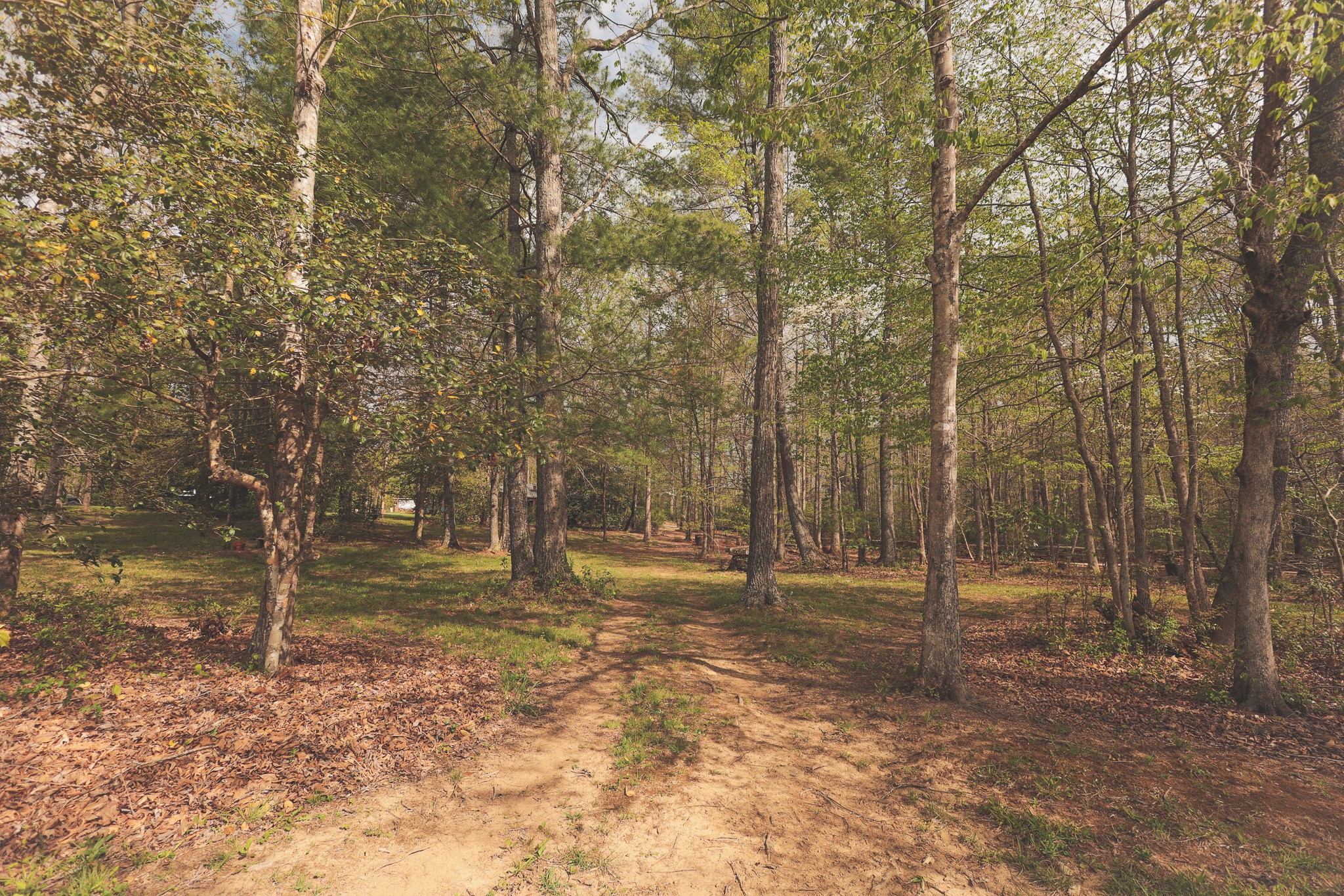 1854 Catoosa Road Wartburg TN 37887