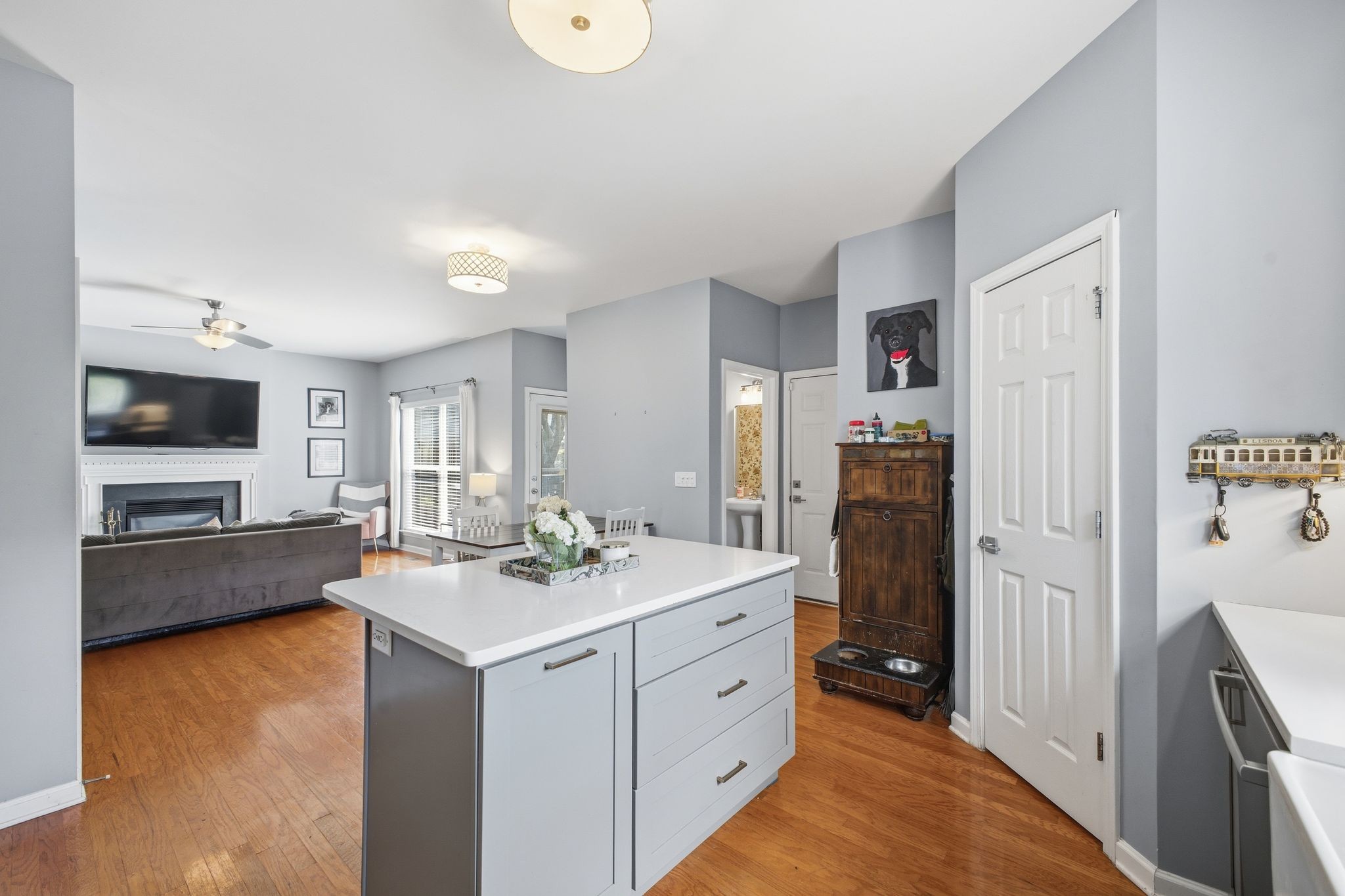 1125 Hudson Lane Franklin TN 37067