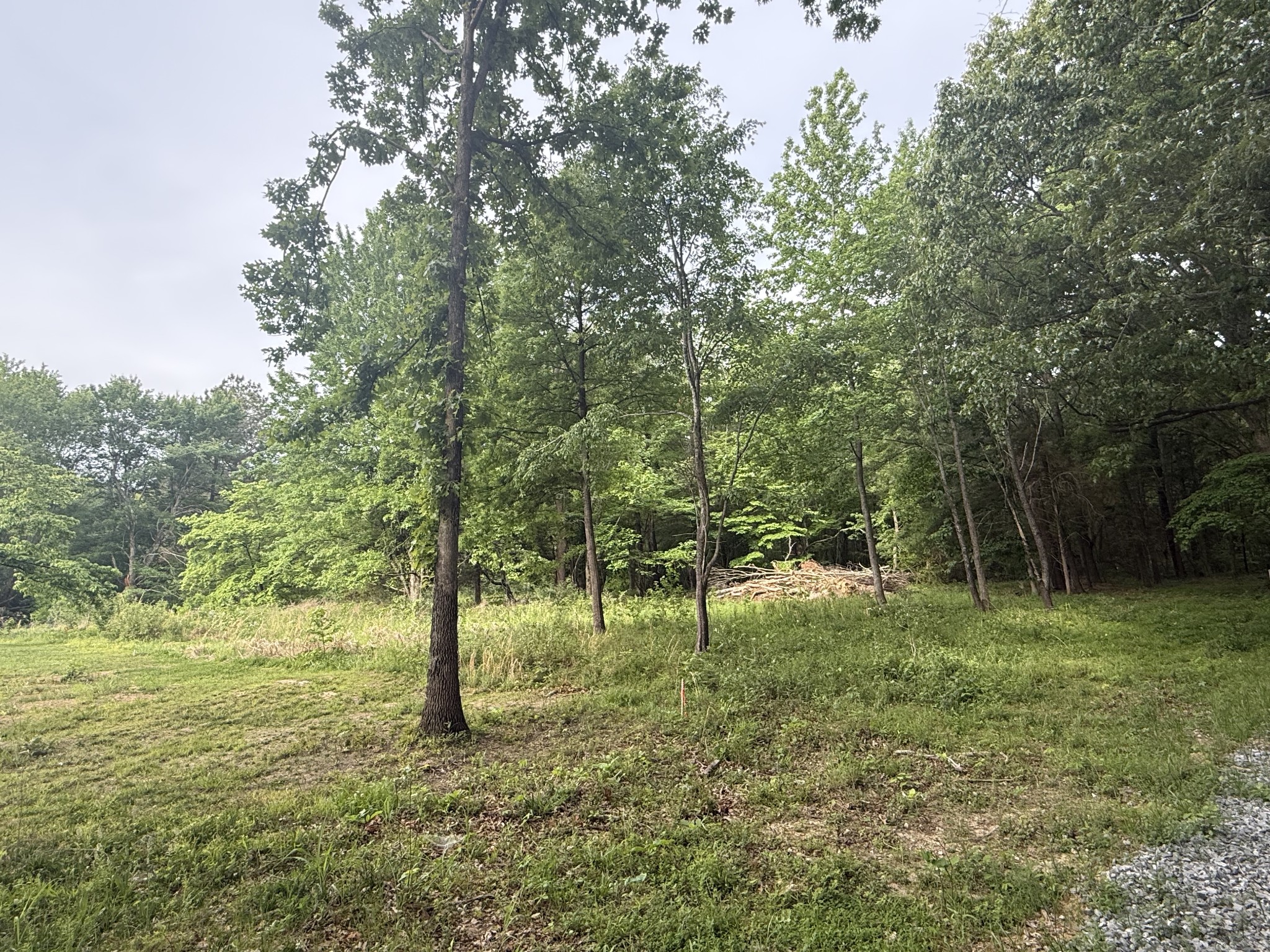 326 Kaiser Road Dickson TN 37055