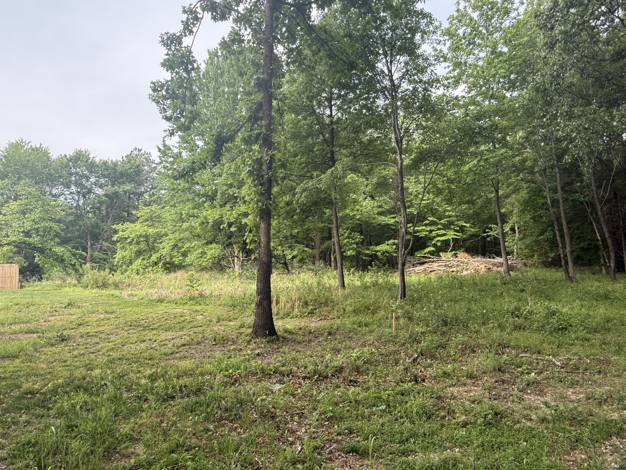 326 Kaiser Road Dickson TN 37055