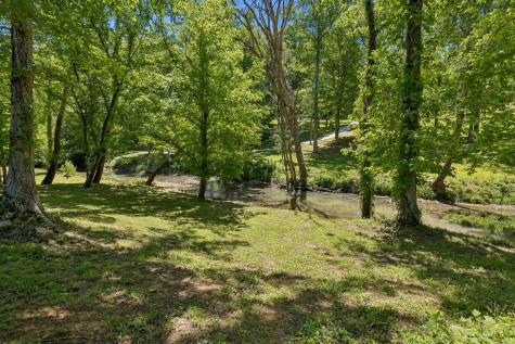 0 Bone Cave Road Rock Island TN 38581