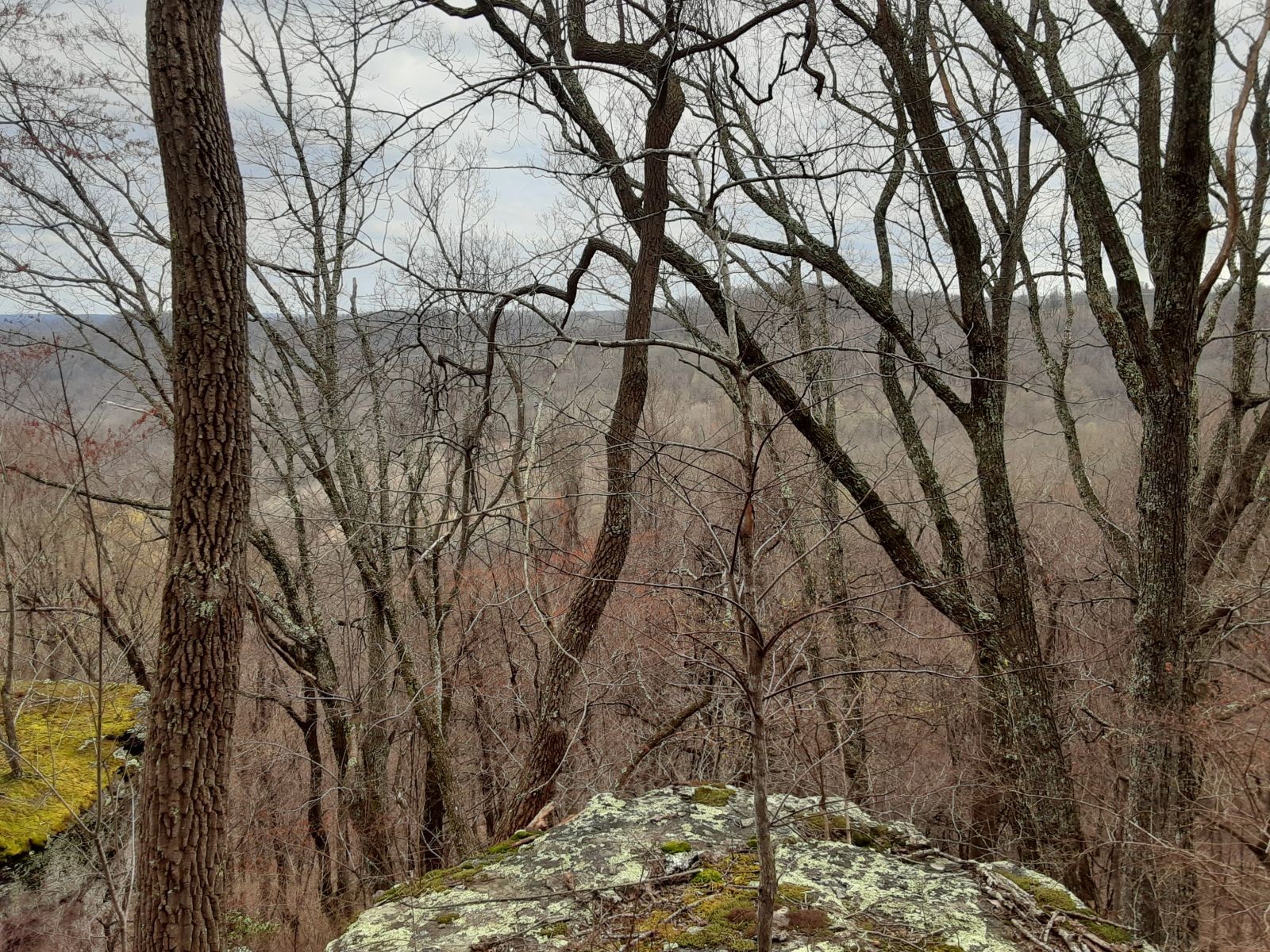 0 Sheep Bluff Road Cookeville TN 38506