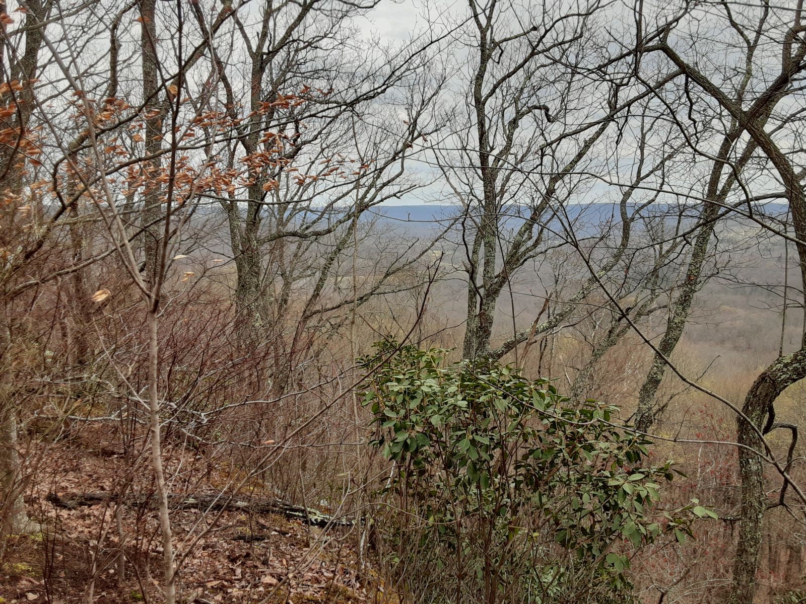 0 Sheep Bluff Road Cookeville TN 38506