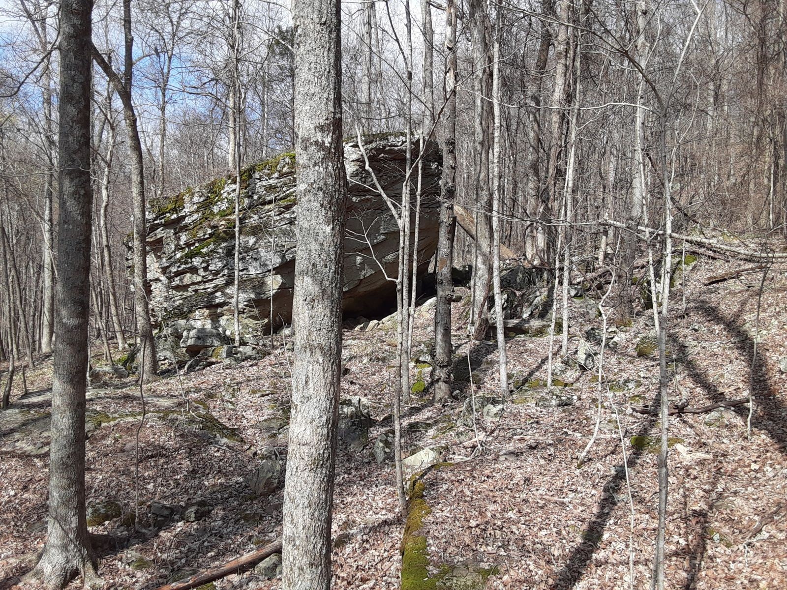 0 Sheep Bluff Road Cookeville TN 38506