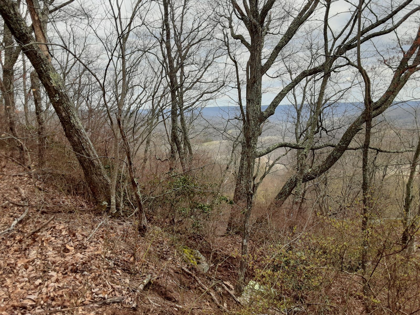 0 Sheep Bluff Road Cookeville TN 38506
