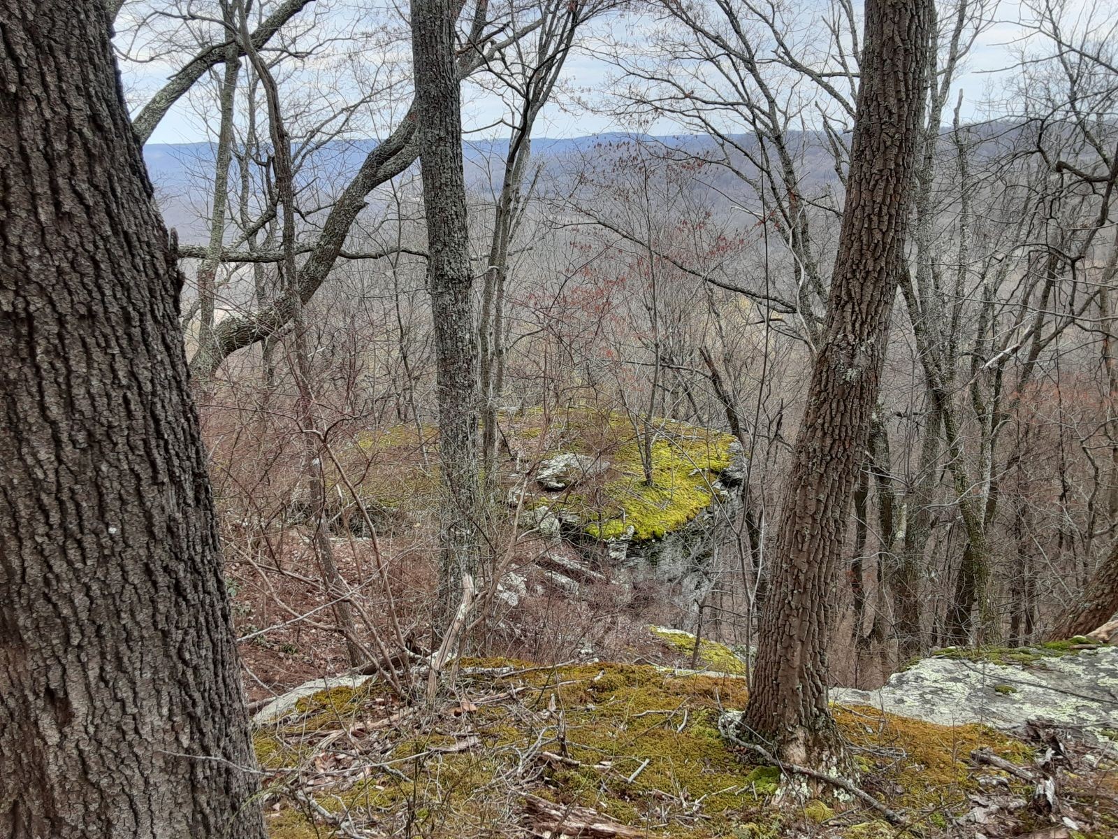 0 Sheep Bluff Road Cookeville TN 38506