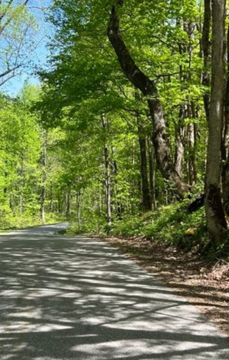 0 Sheep Bluff Road Cookeville TN 38506
