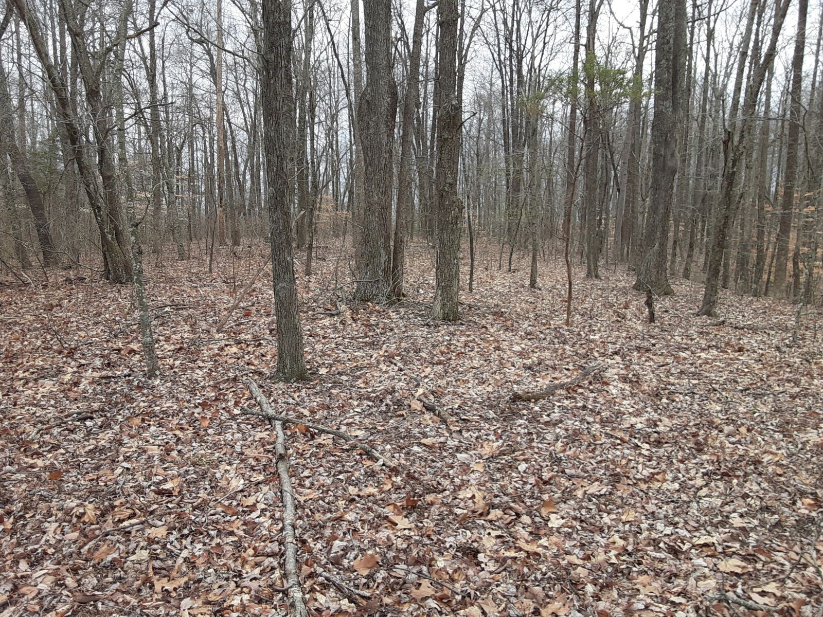 0 Sheep Bluff Road Cookeville TN 38506
