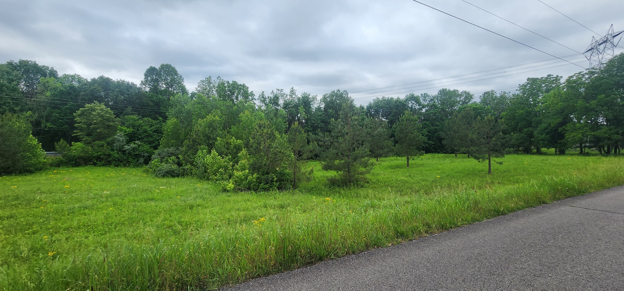 3147 Old New Cut Road Springfield TN 37172