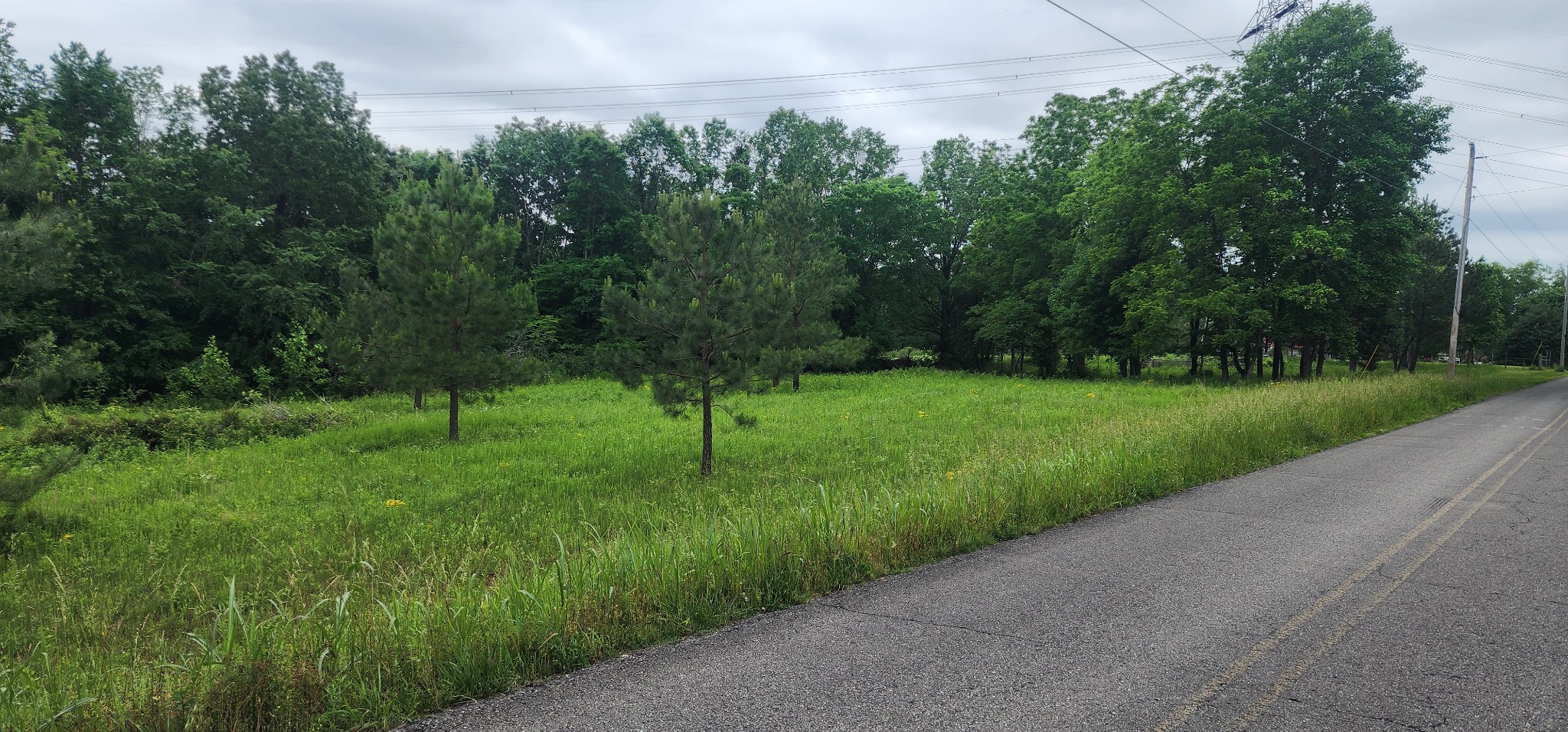3147 Old New Cut Road Springfield TN 37172
