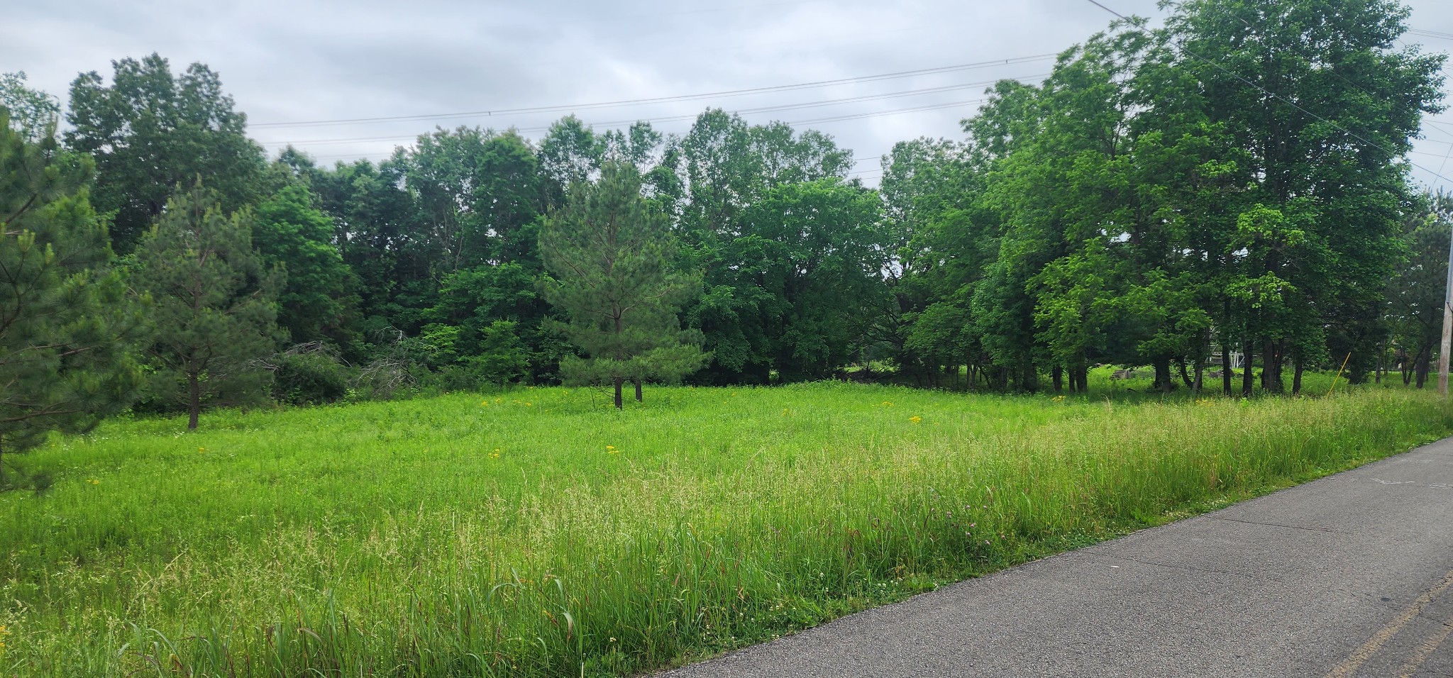 3147 Old New Cut Road Springfield TN 37172