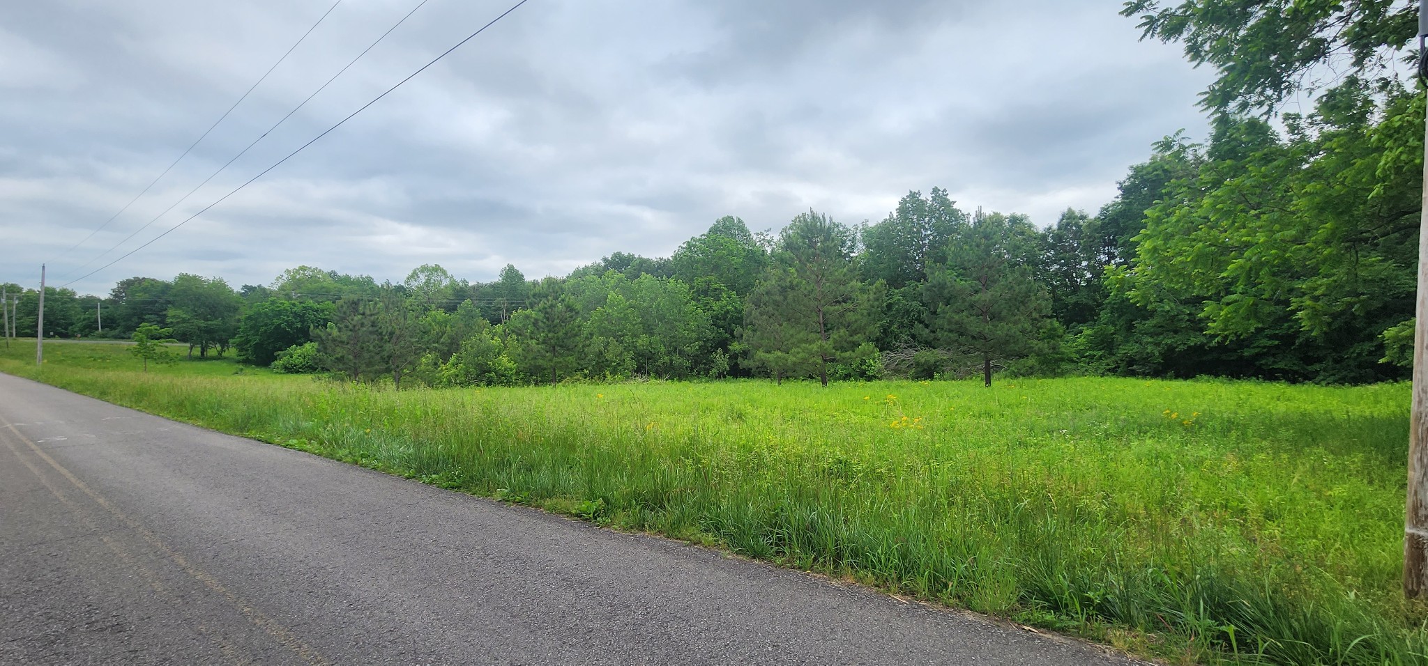 3147 Old New Cut Road Springfield TN 37172