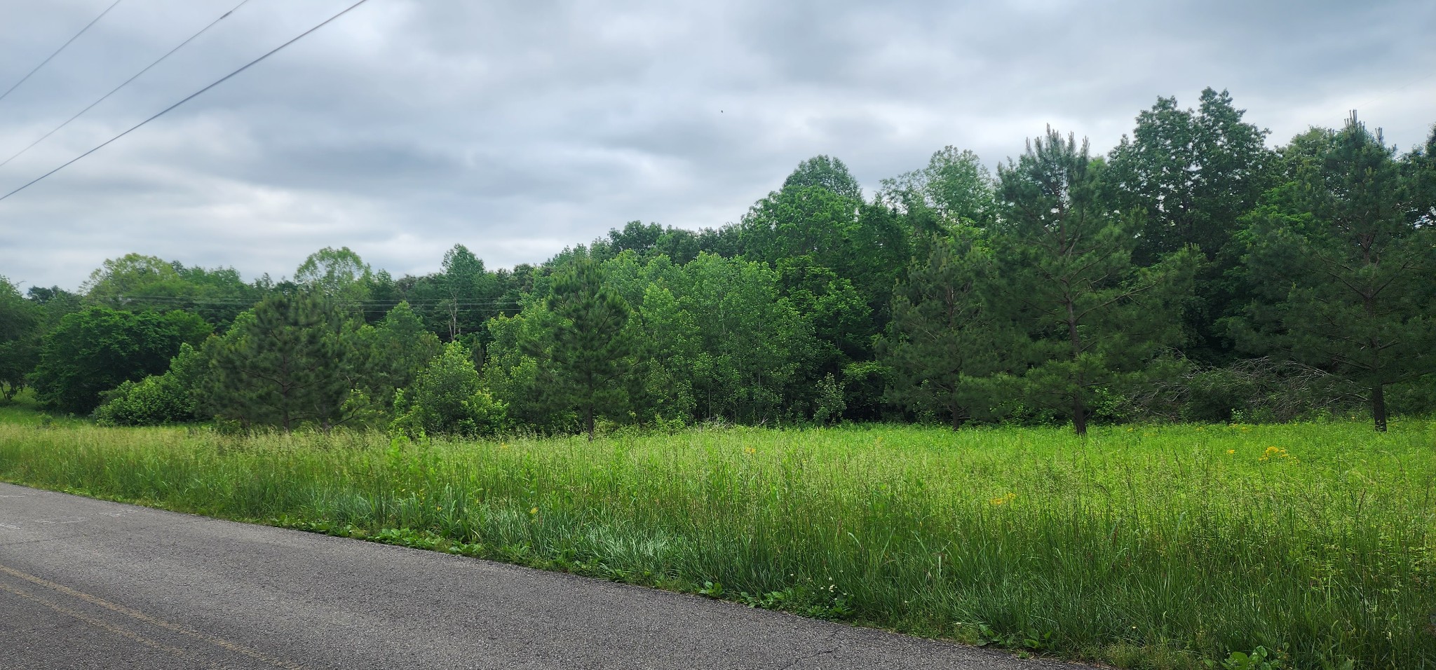 3147 Old New Cut Road Springfield TN 37172