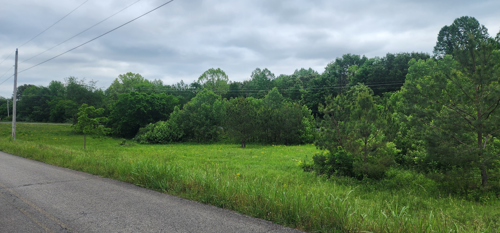 3147 Old New Cut Road Springfield TN 37172