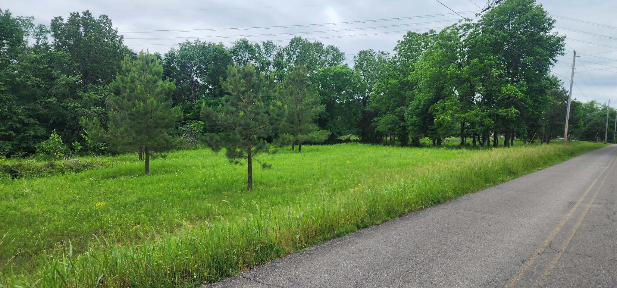3147 Old New Cut Road Springfield TN 37172