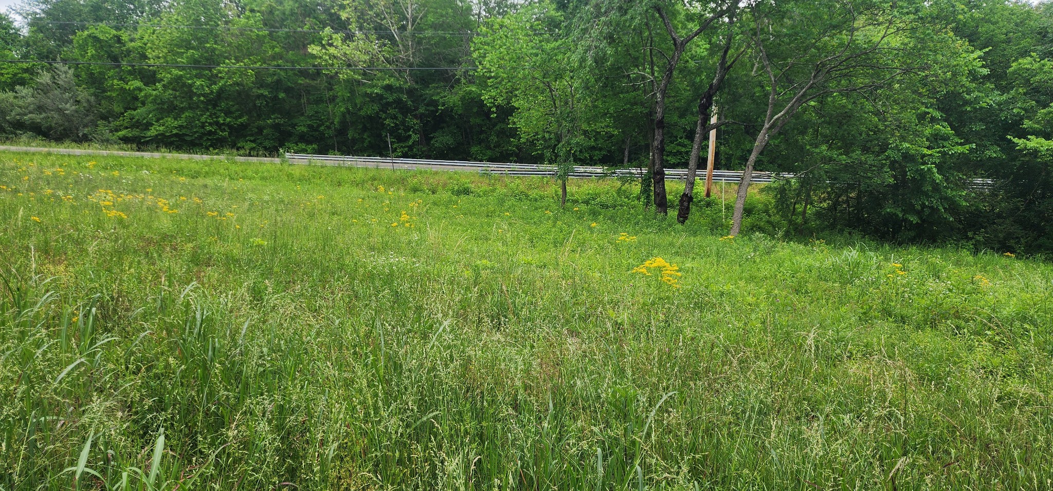 3147 Old New Cut Road Springfield TN 37172