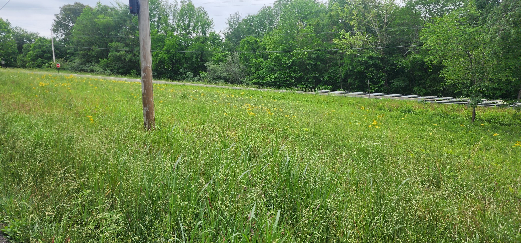 3147 Old New Cut Road Springfield TN 37172