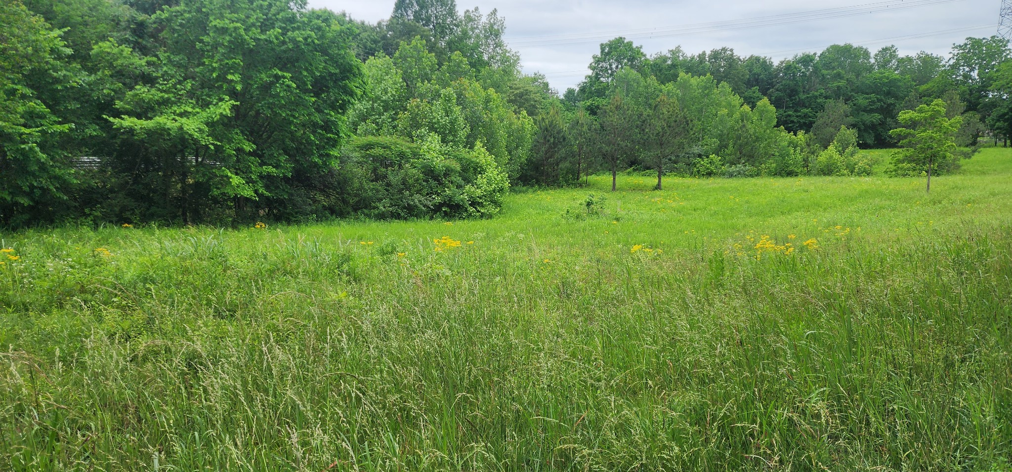 3147 Old New Cut Road Springfield TN 37172