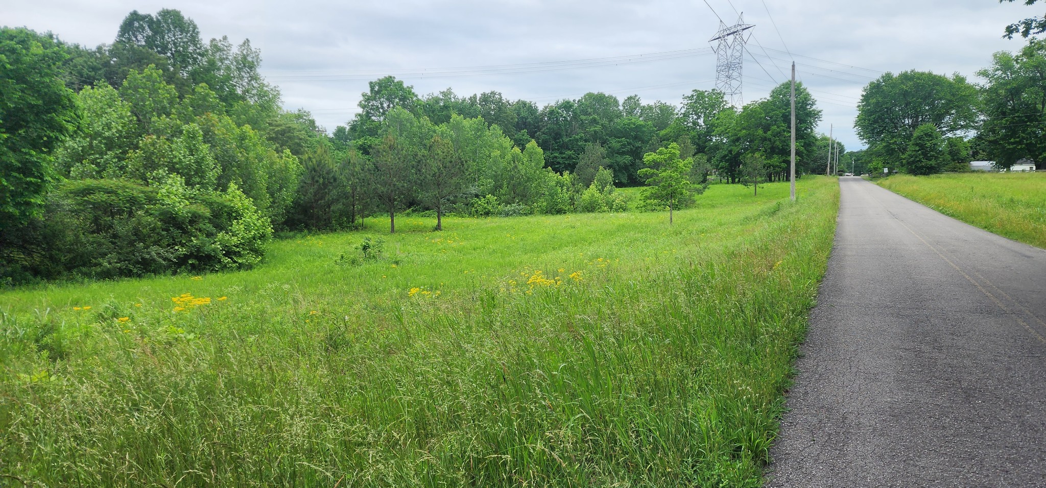 3147 Old New Cut Road Springfield TN 37172