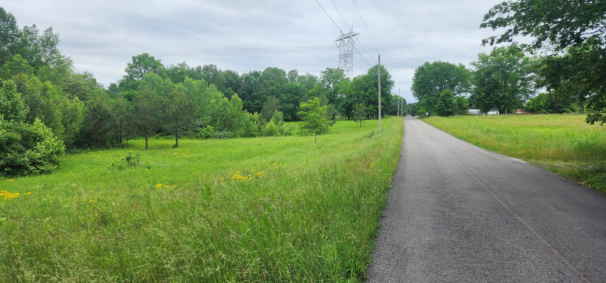 3147 Old New Cut Road Springfield TN 37172