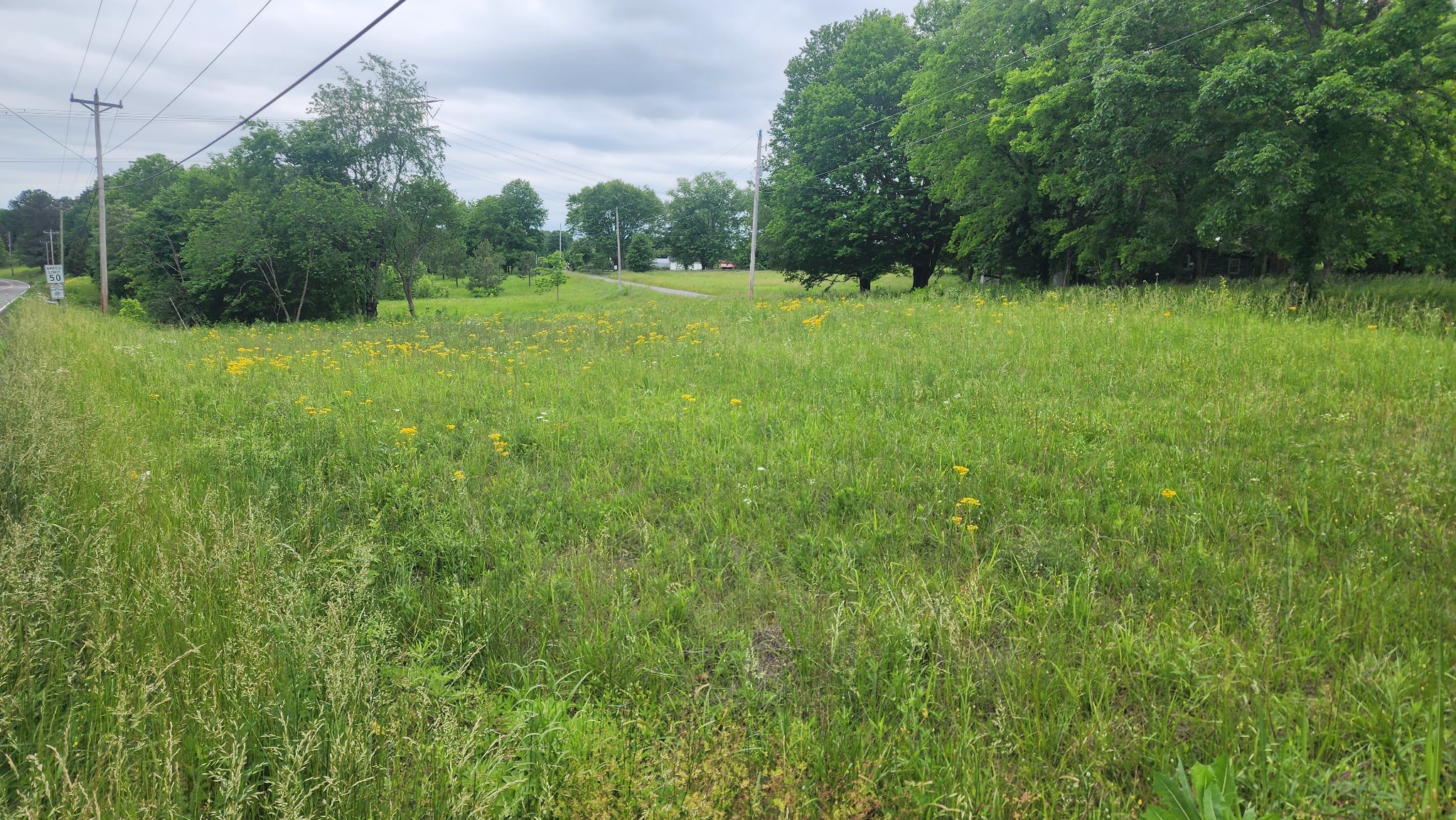 3147 Old New Cut Road Springfield TN 37172