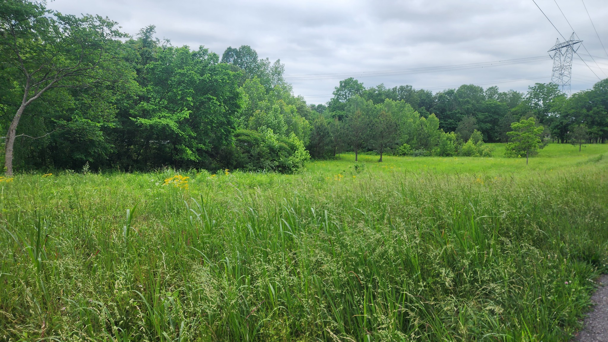 3147 Old New Cut Road Springfield TN 37172