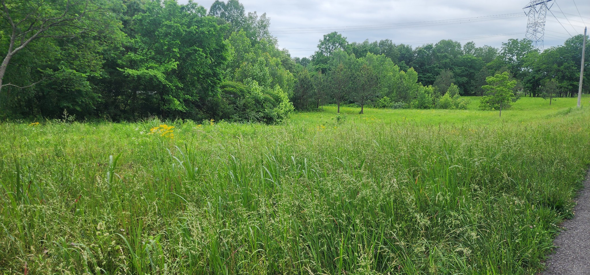 3147 Old New Cut Road Springfield TN 37172