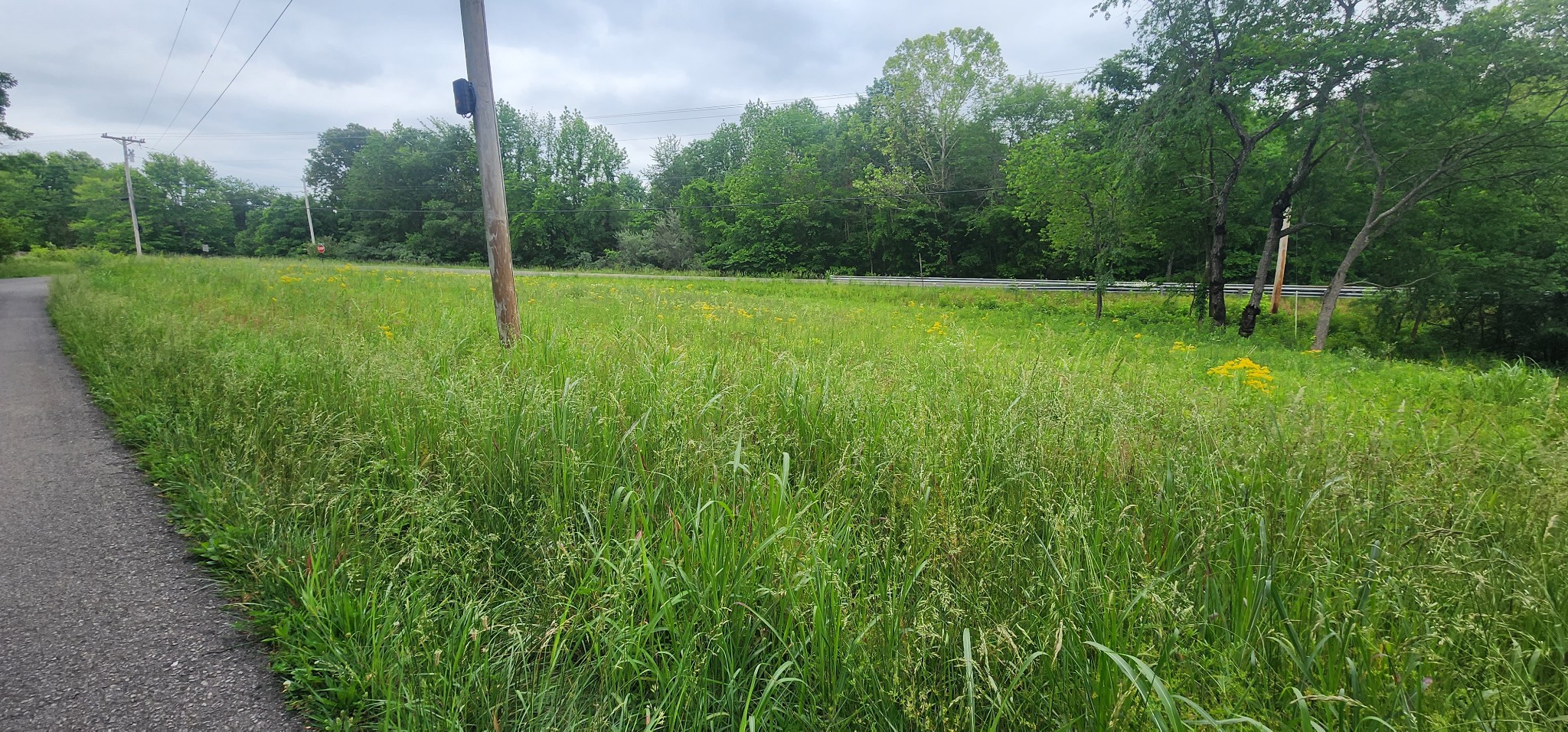 3147 Old New Cut Road Springfield TN 37172
