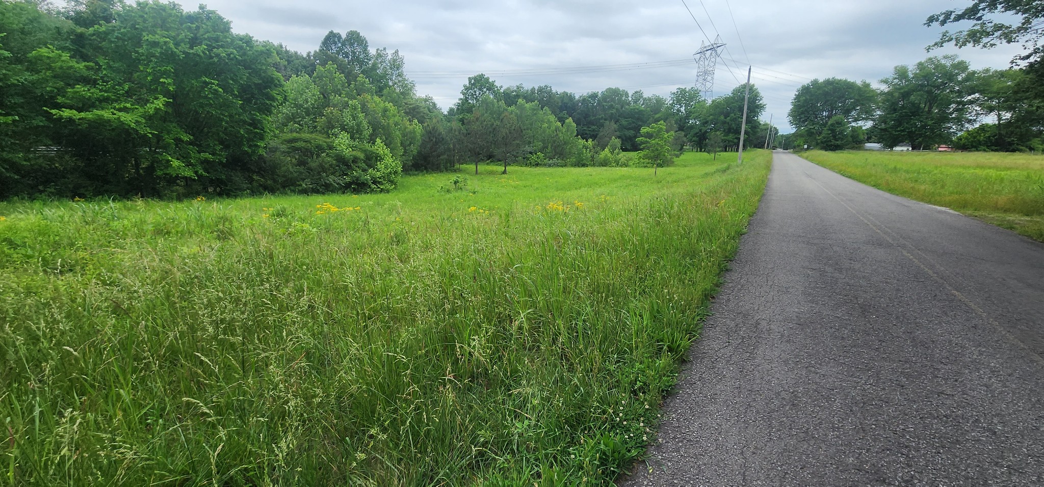 3147 Old New Cut Road Springfield TN 37172