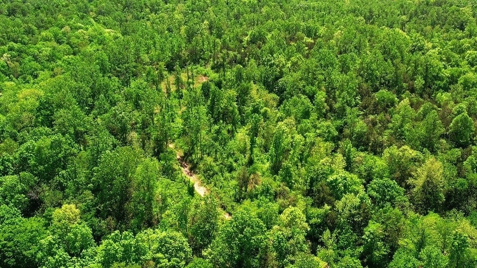 5849 N Lick Creek Road Franklin TN 37064