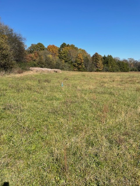 0 Old Nashville Dirt Road Shelbyville TN 37160