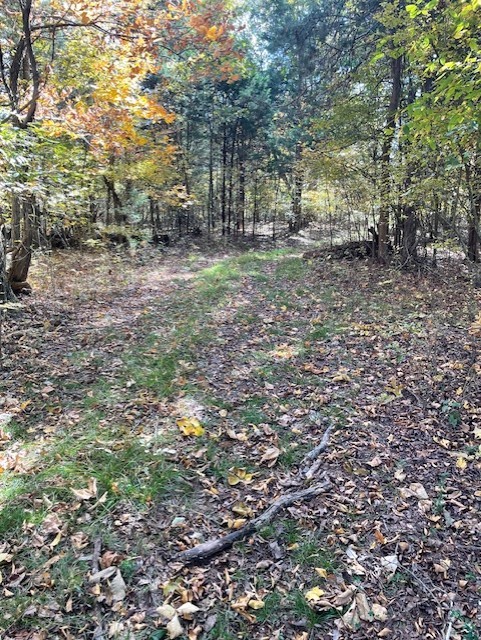 0 Old Nashville Dirt Road Shelbyville TN 37160