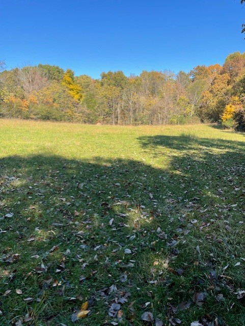 0 Old Nashville Dirt Road Shelbyville TN 37160
