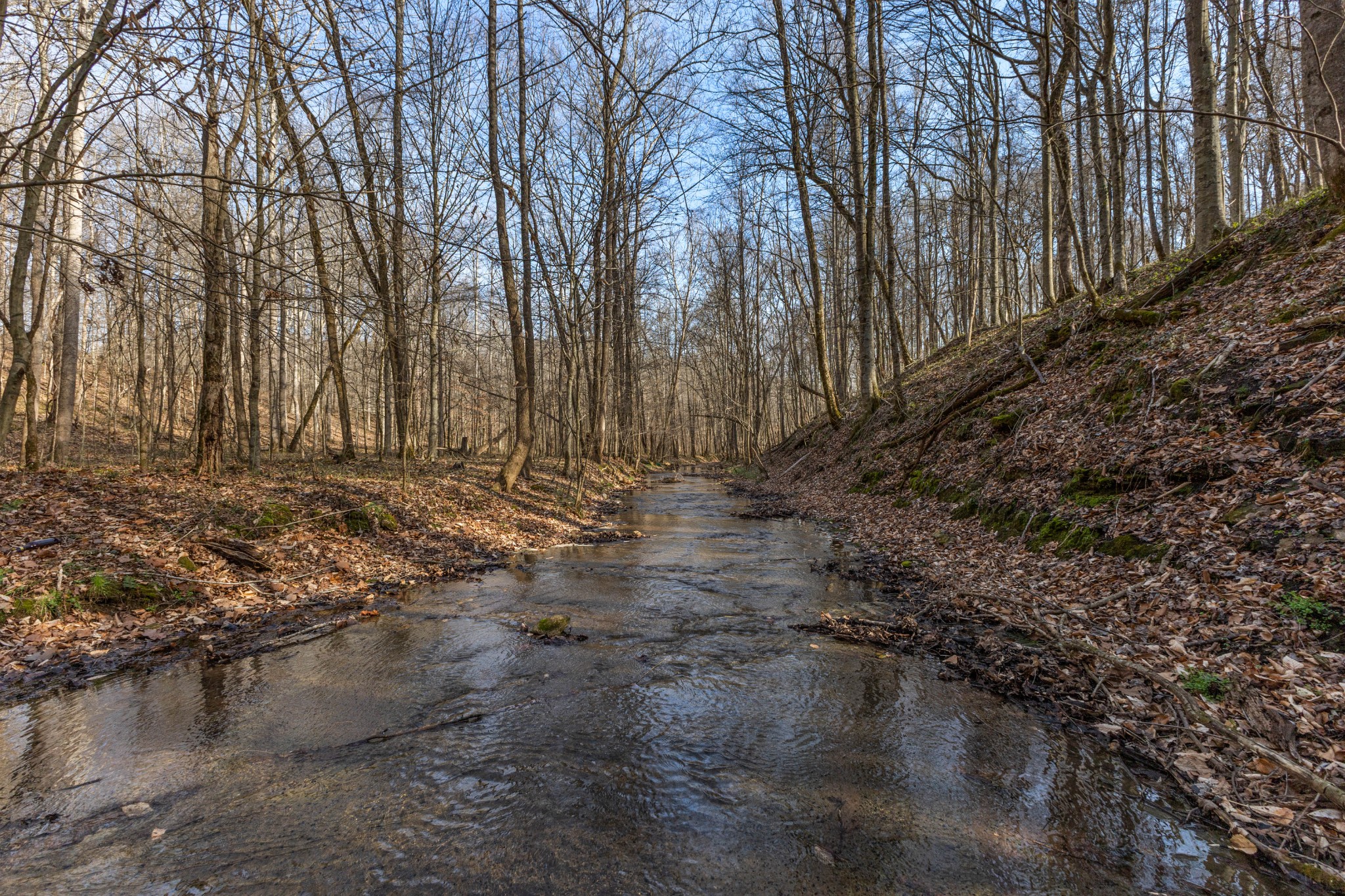 22 Lockridge Lane Ashland City TN 37015