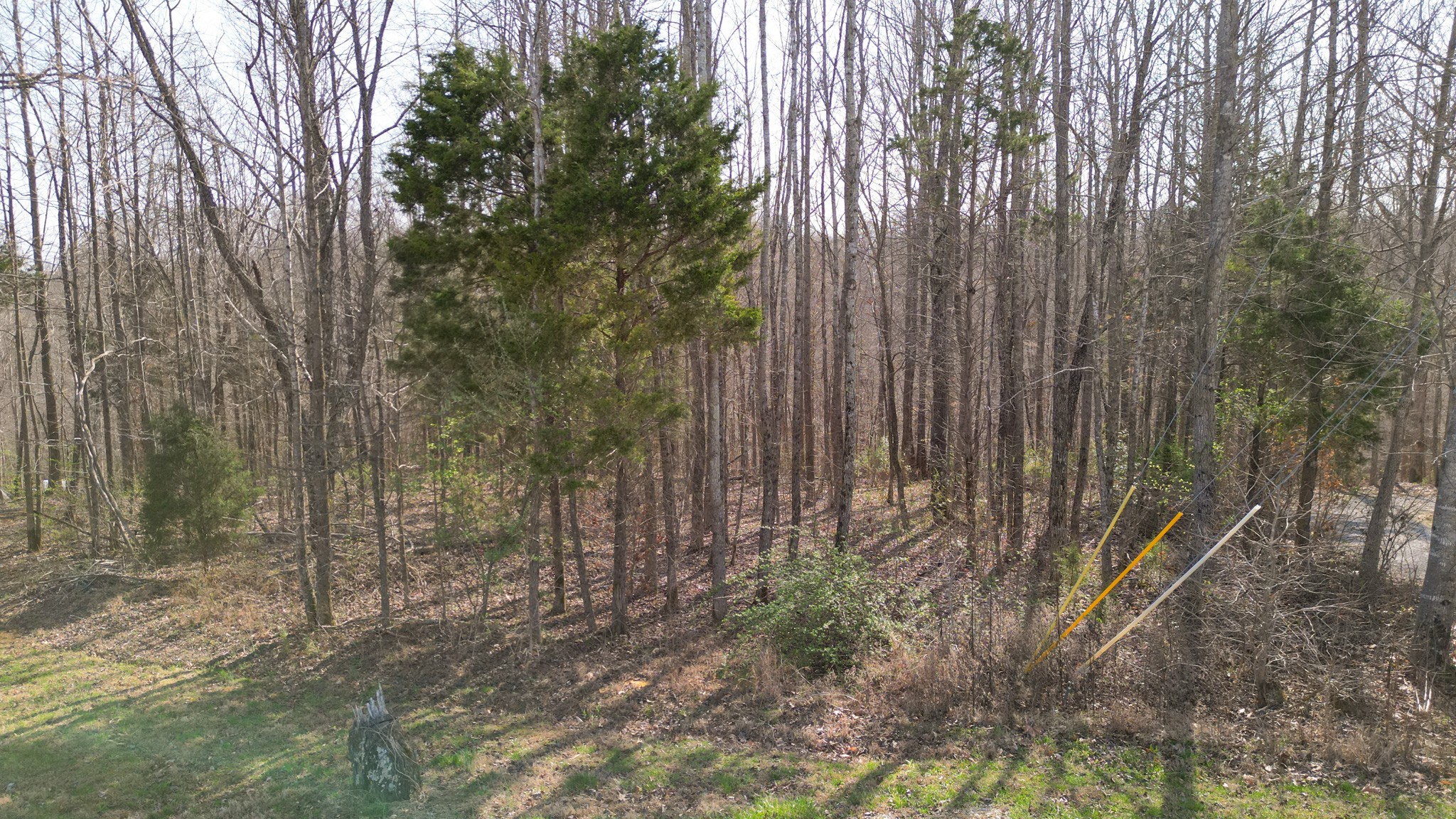22 Lockridge Lane Ashland City TN 37015