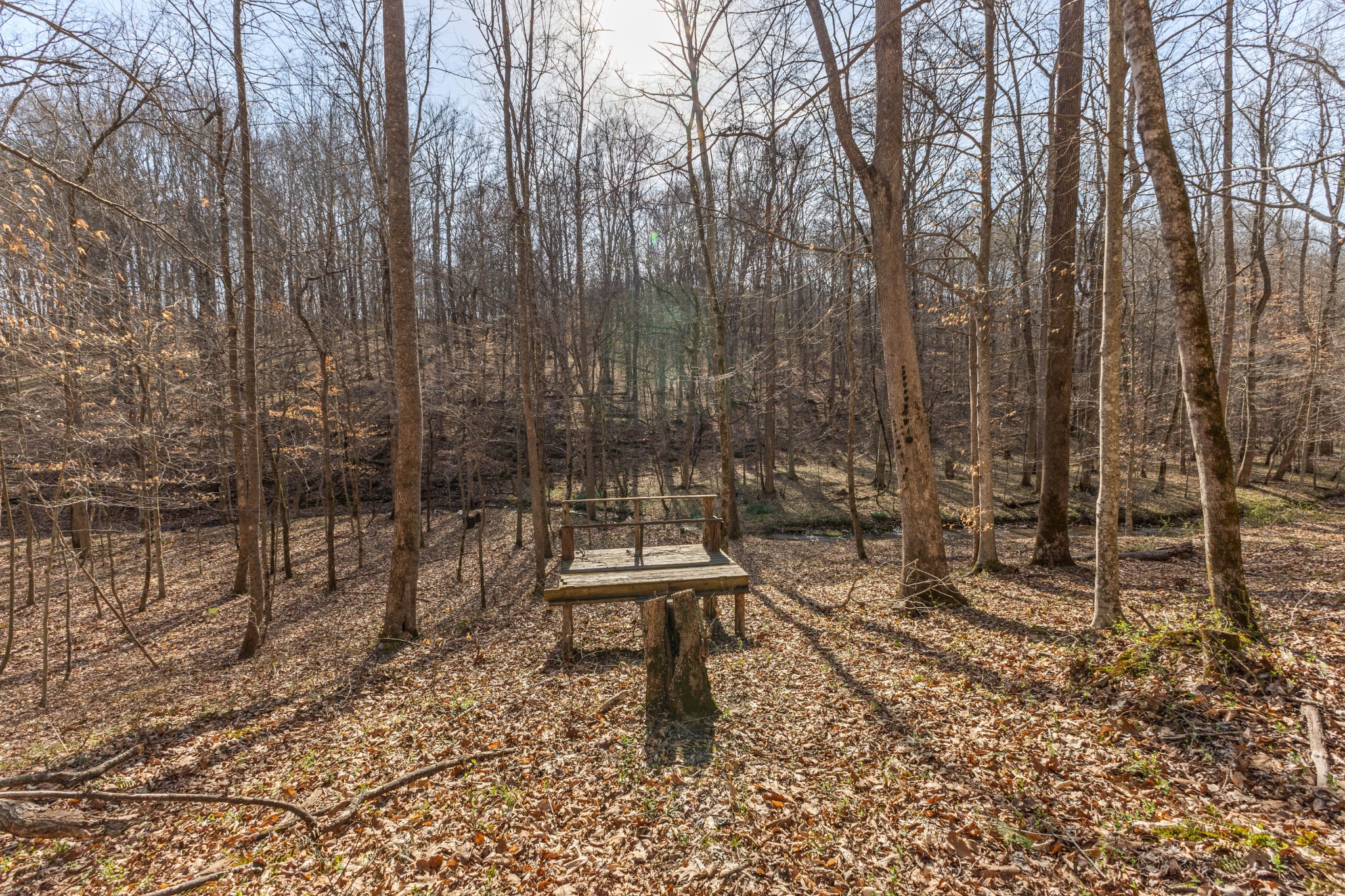 22 Lockridge Lane Ashland City TN 37015