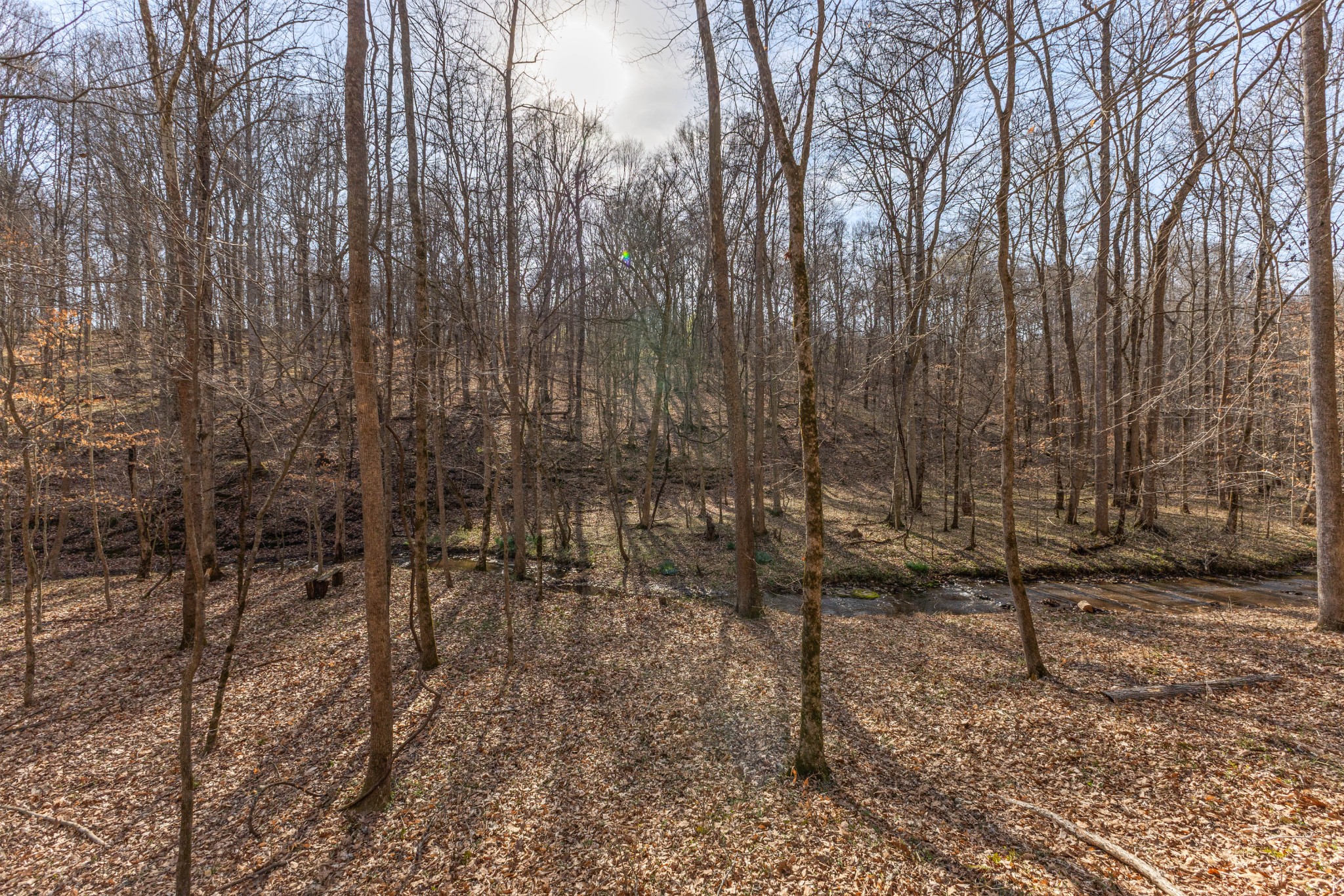 22 Lockridge Lane Ashland City TN 37015