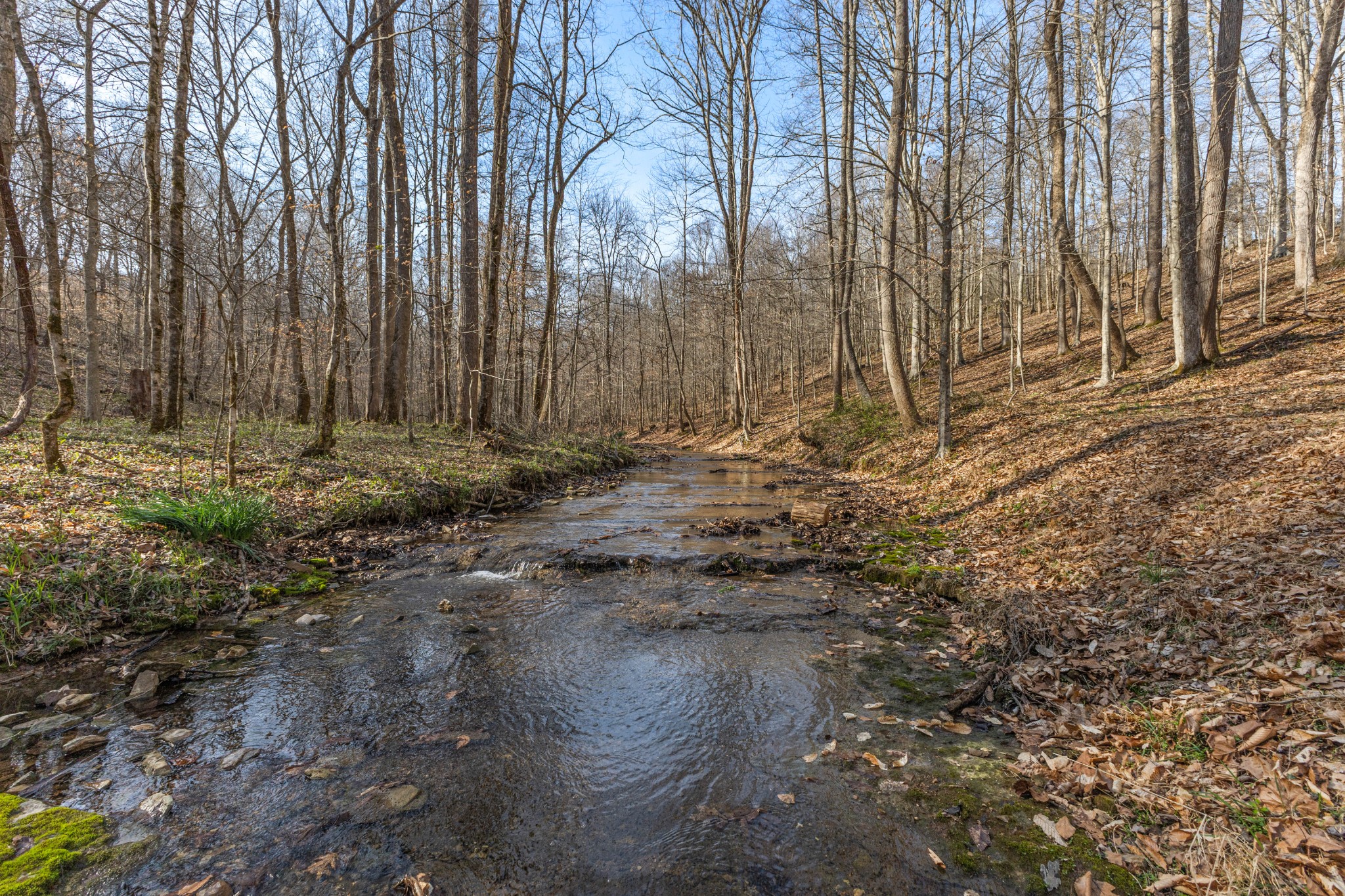 22 Lockridge Lane Ashland City TN 37015