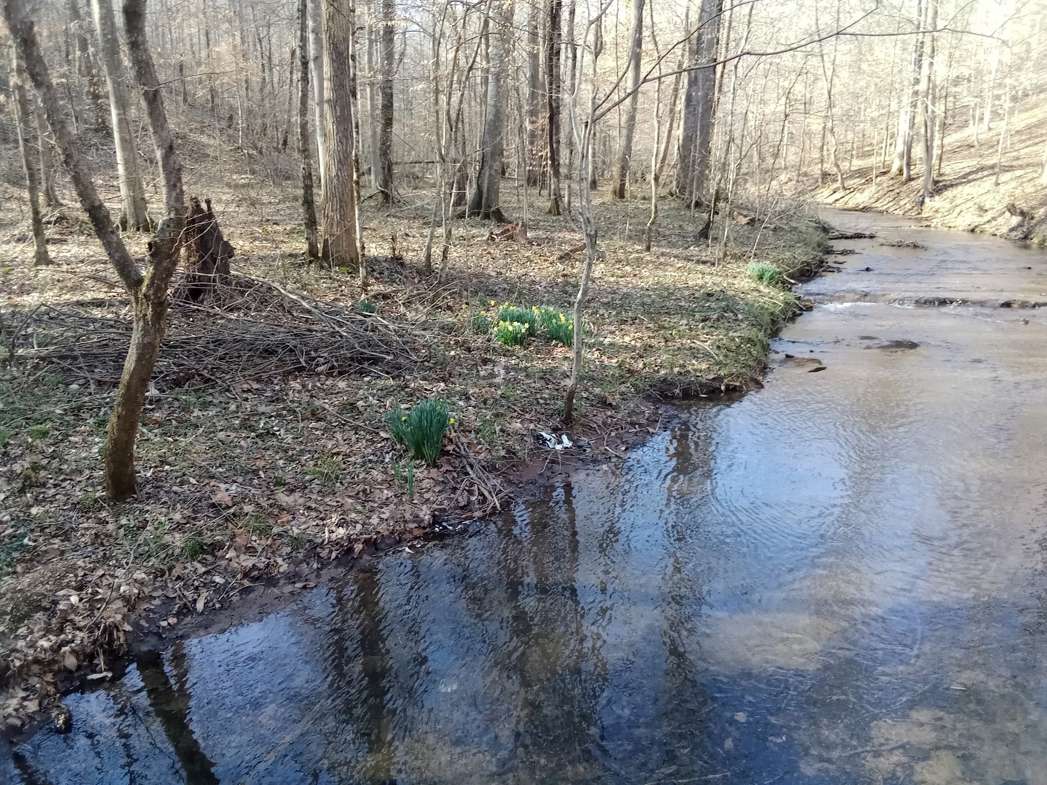 22 Lockridge Lane Ashland City TN 37015