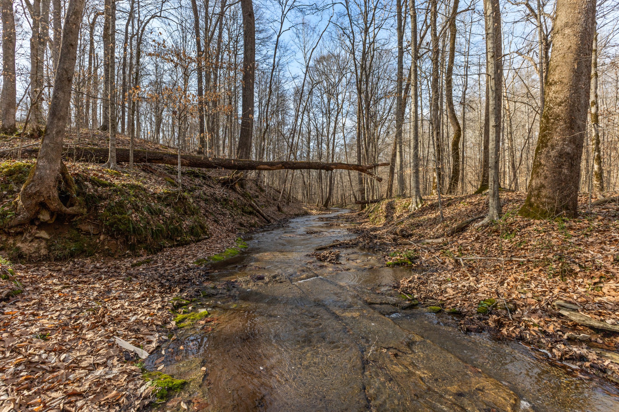 22 Lockridge Lane Ashland City TN 37015