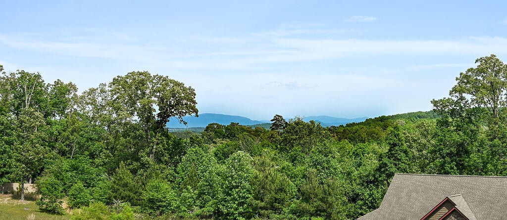 164 Briar Meadow Trail, SE Cleveland TN 37323