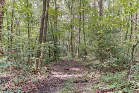 484 Deer Lick Trail Monteagle TN 37356